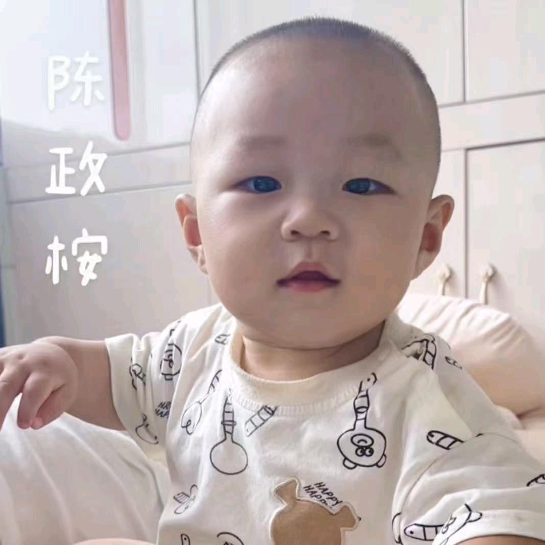 政桉和奶奶
