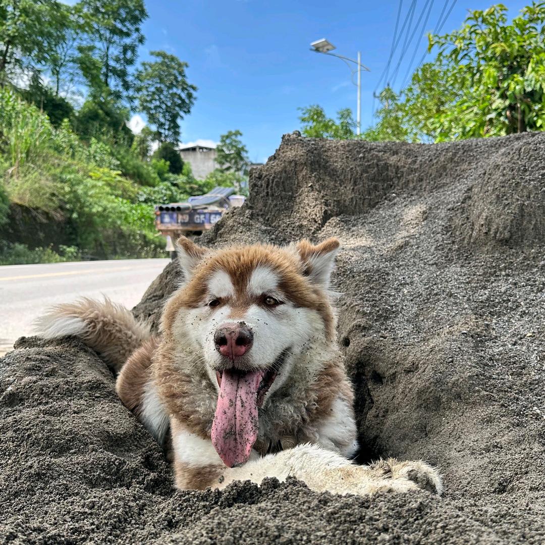 宝强骑行（生活号）