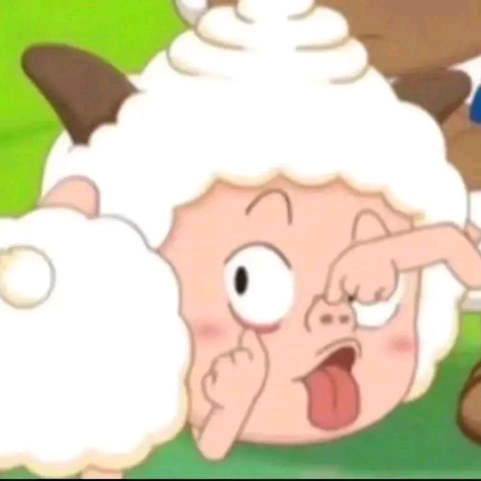 小罗是只羊🐏