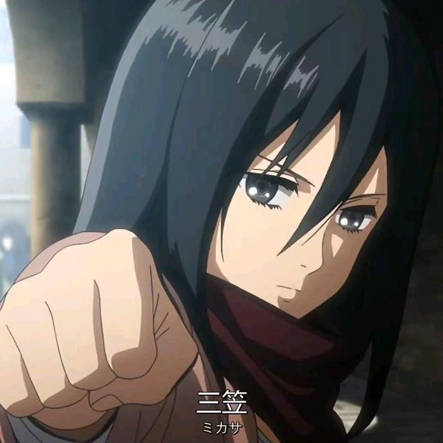 Mikasa