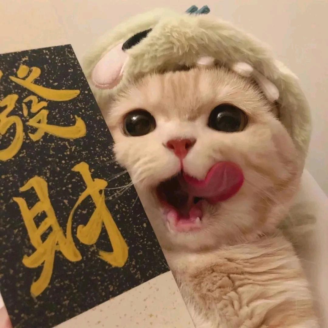 龙泽熙