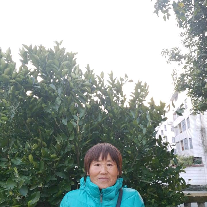 农村大姐