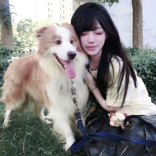 才发现你不吃早餐