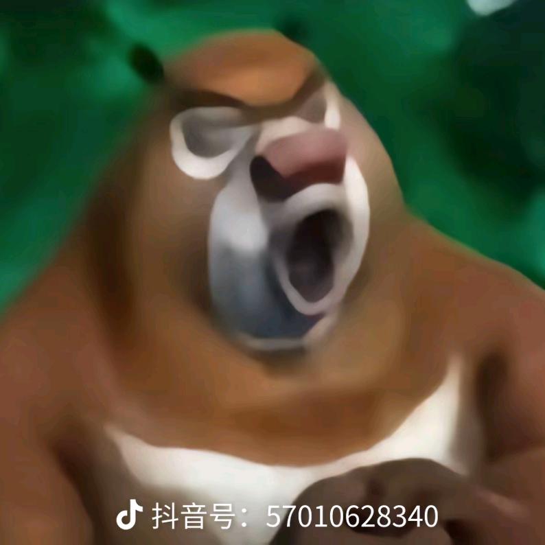 小怂
