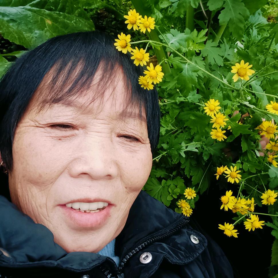 肖大姐  娱乐