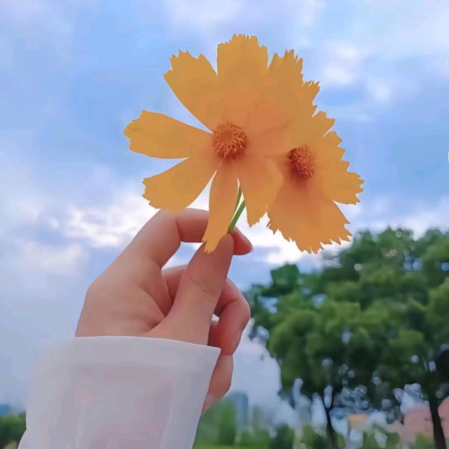 今天星期几呀