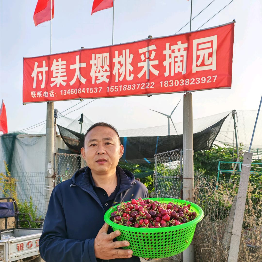刘好民樱桃种植家庭农场