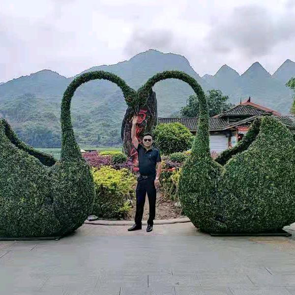 我强我富