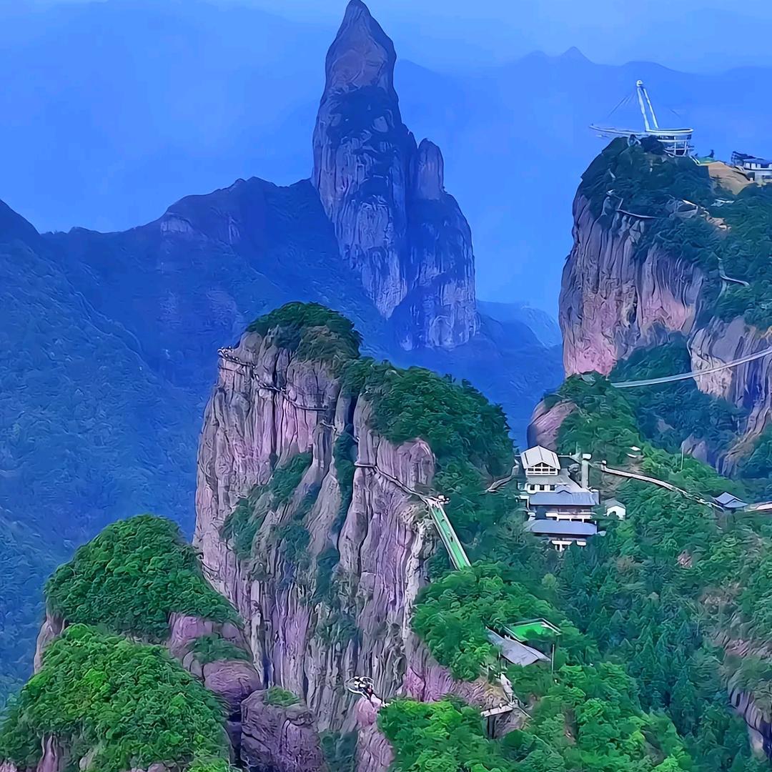 茹茹带你吃喝玩乐