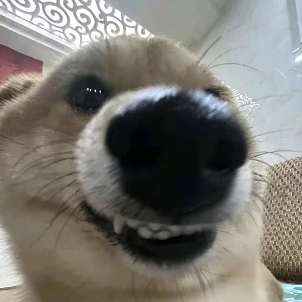 早点学会按时睡觉