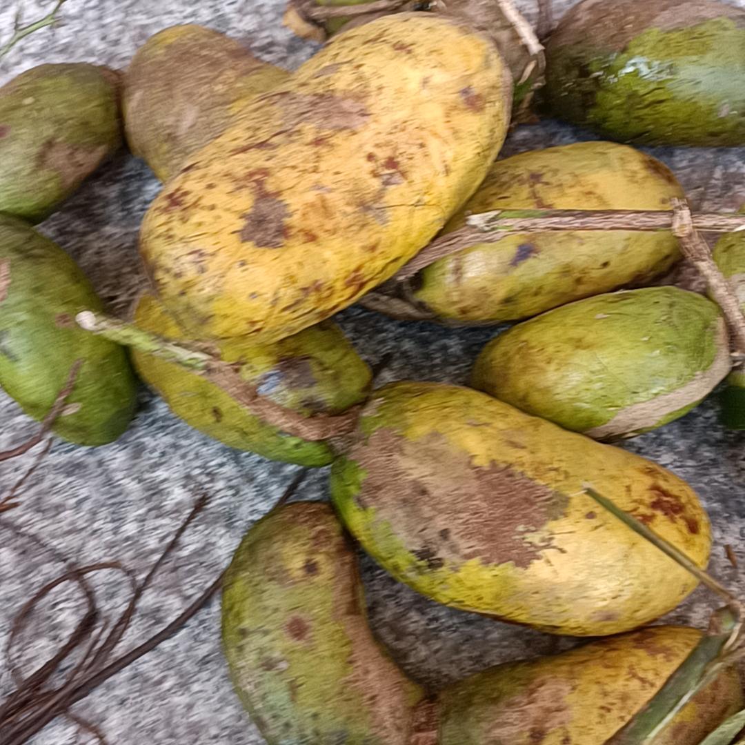 安逸（爱记录）