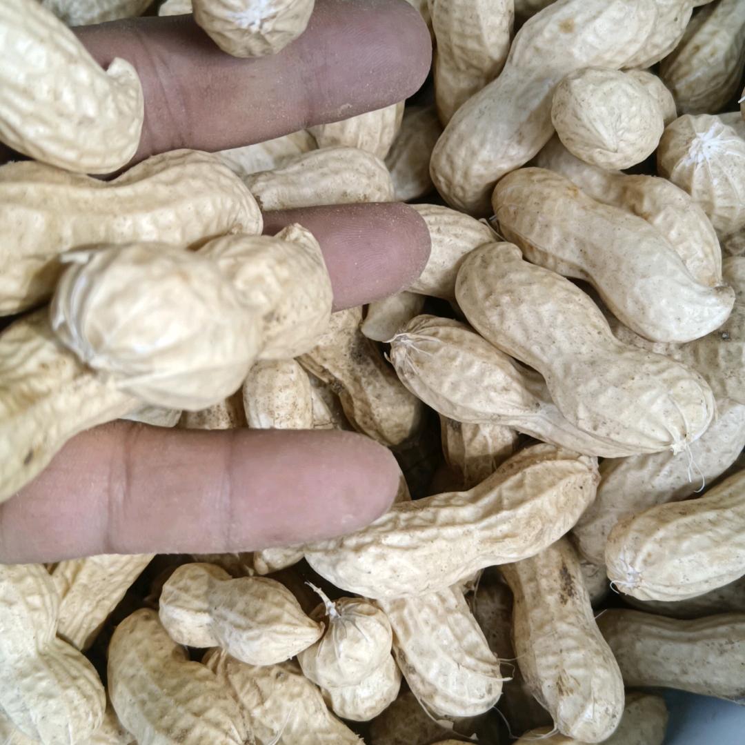 阿卫农产品经营部