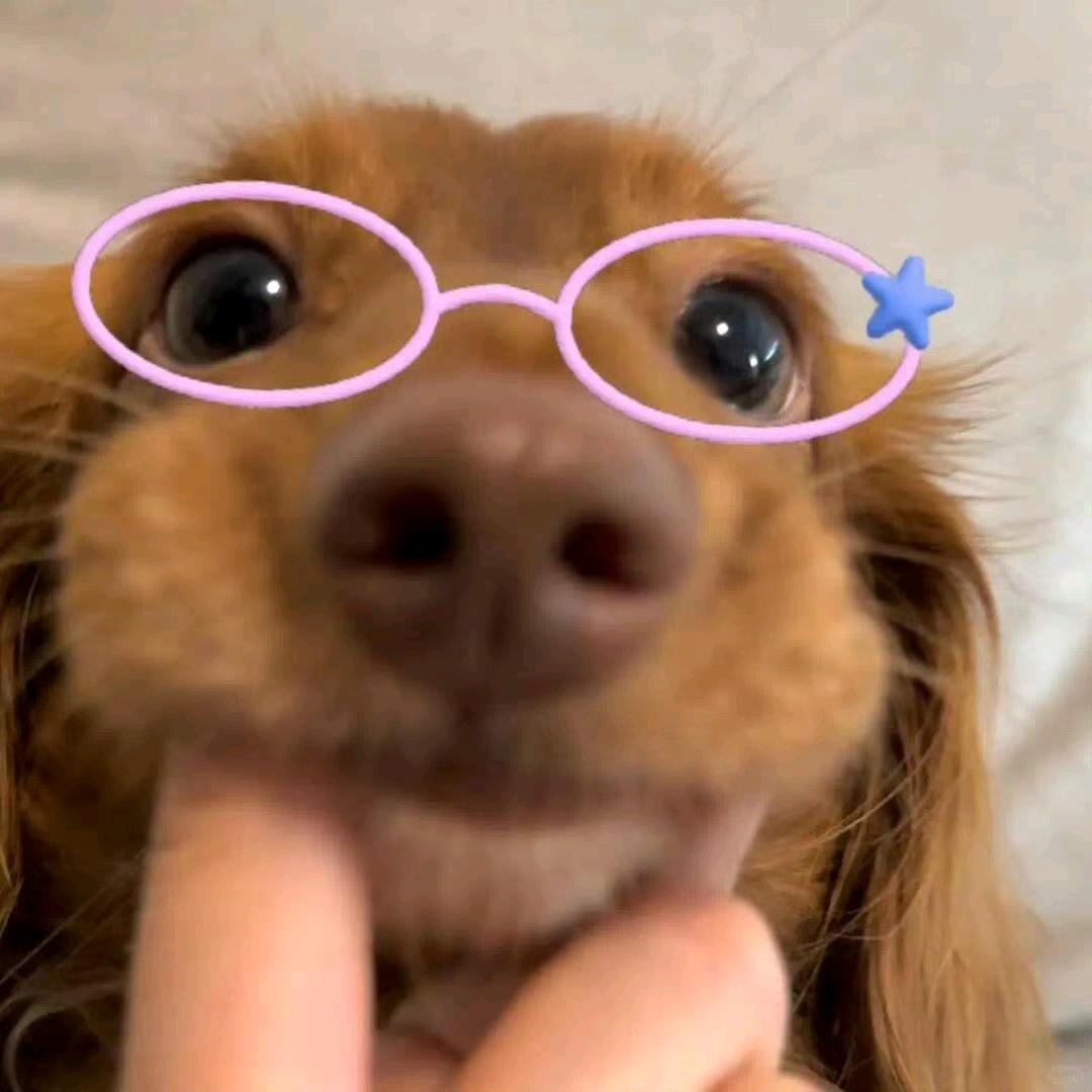 Pixiu