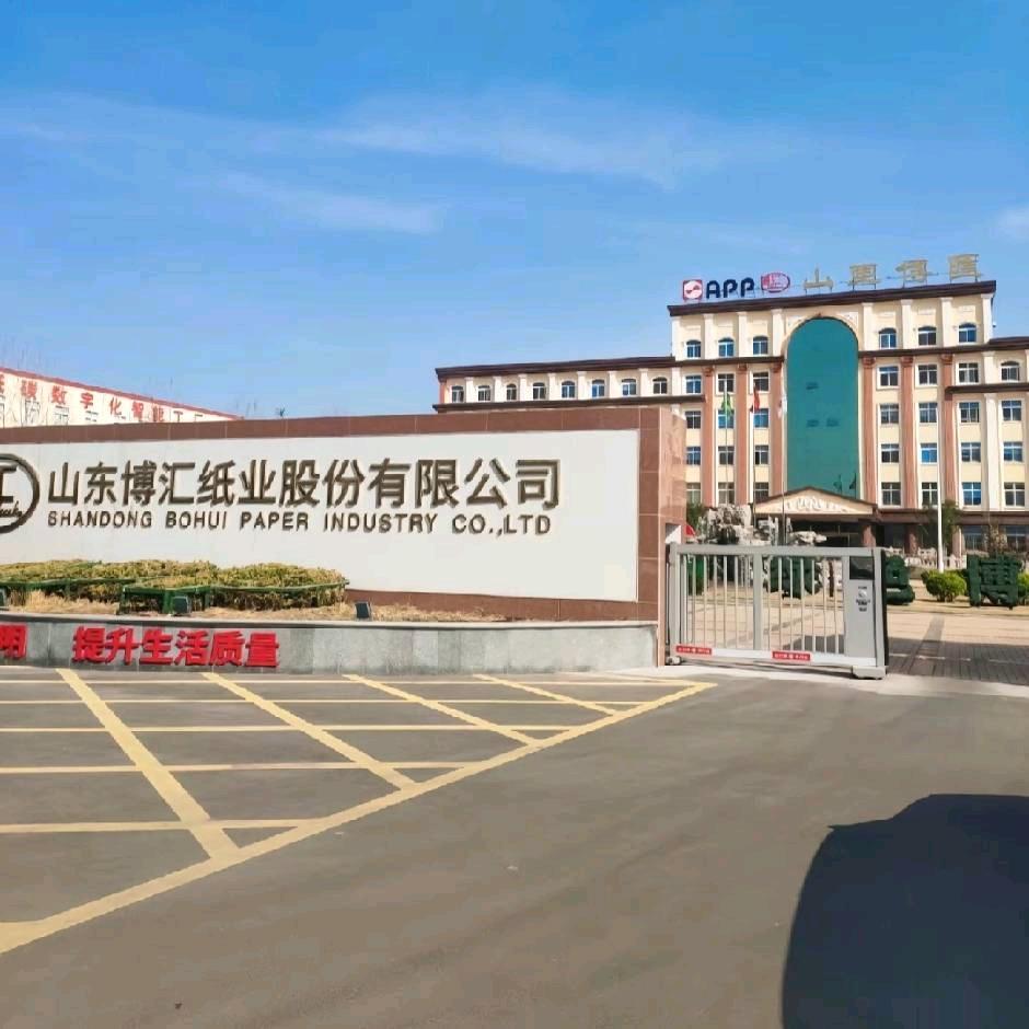 山东博汇纸厂。
