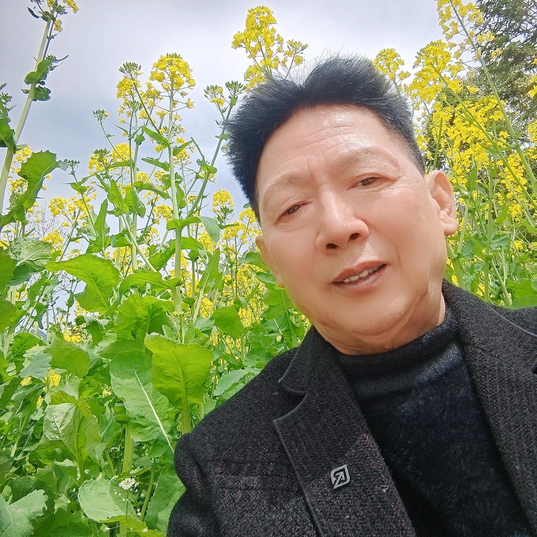 舞阳装裱