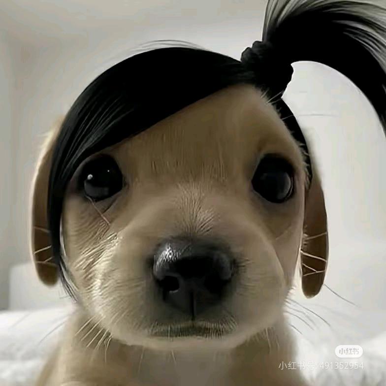 城市套路深我要回农村