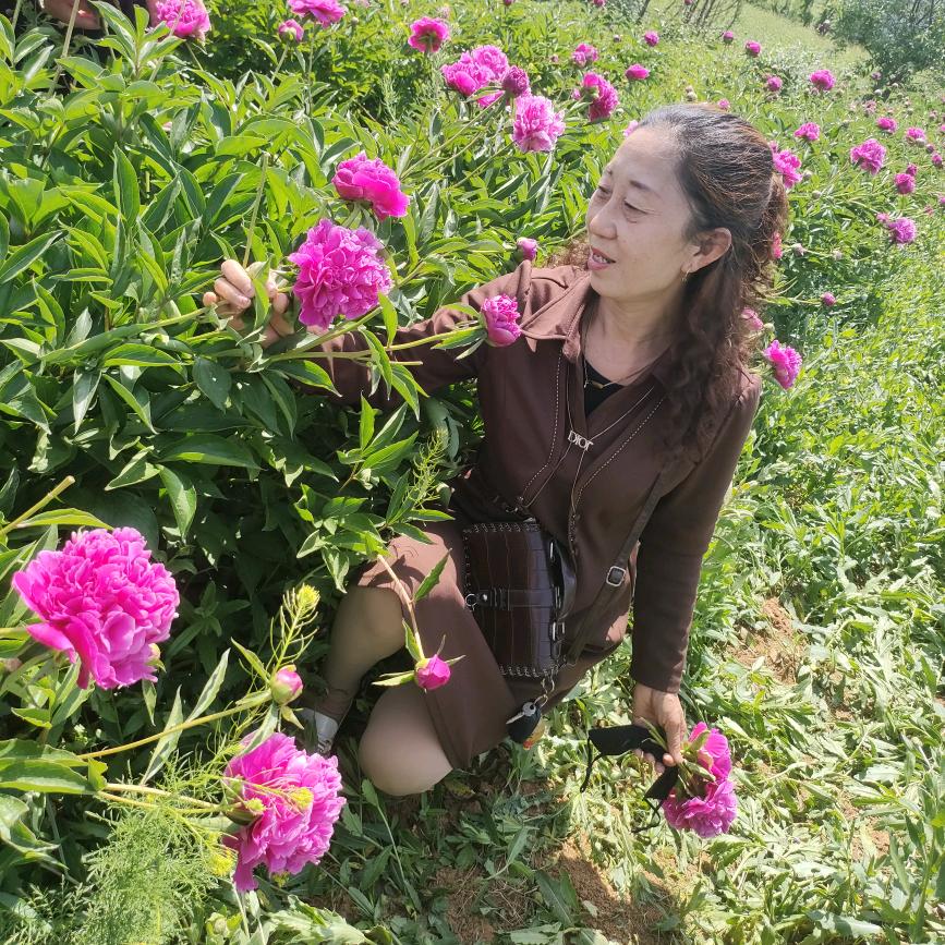 永远十八岁，青春永恒