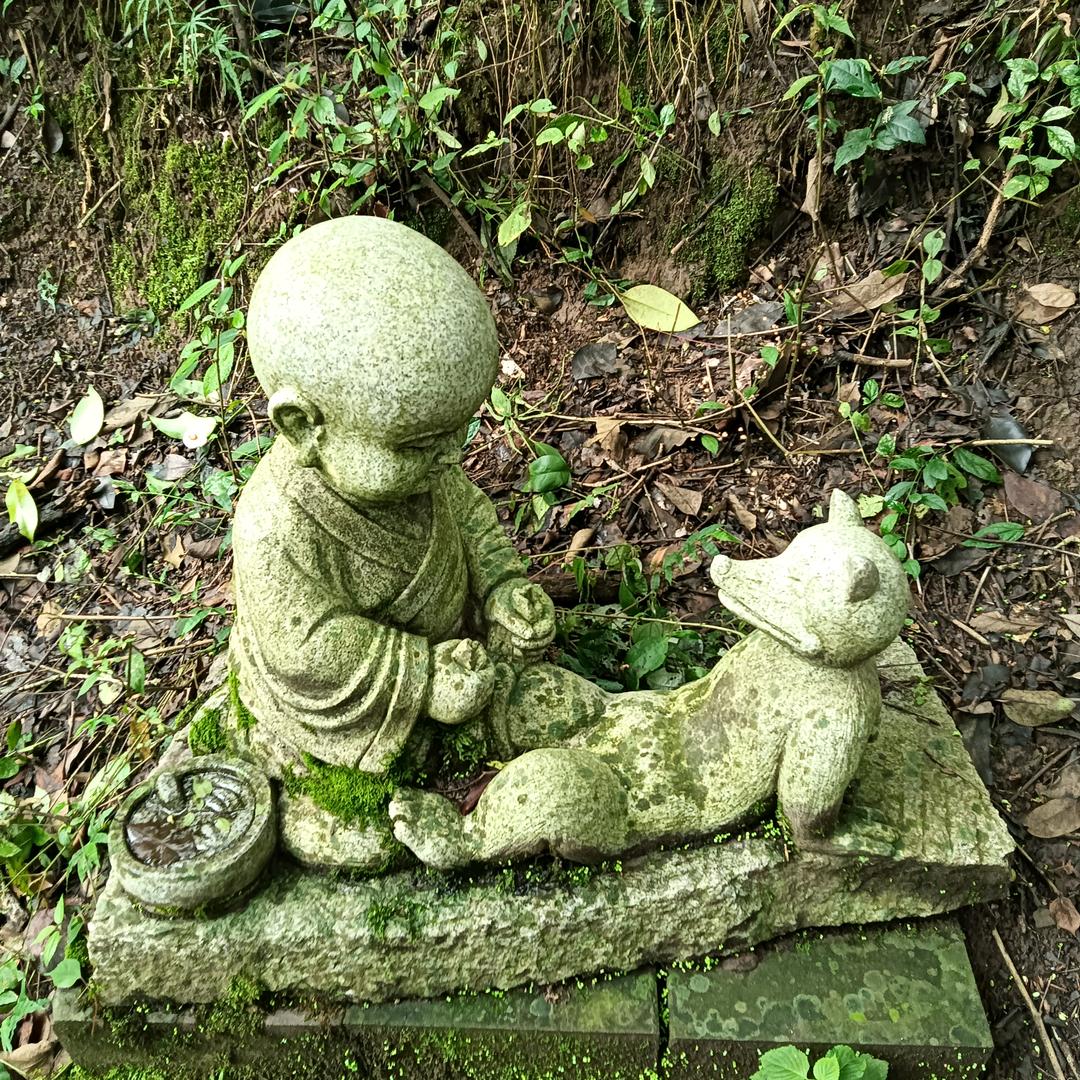 一天都要开心