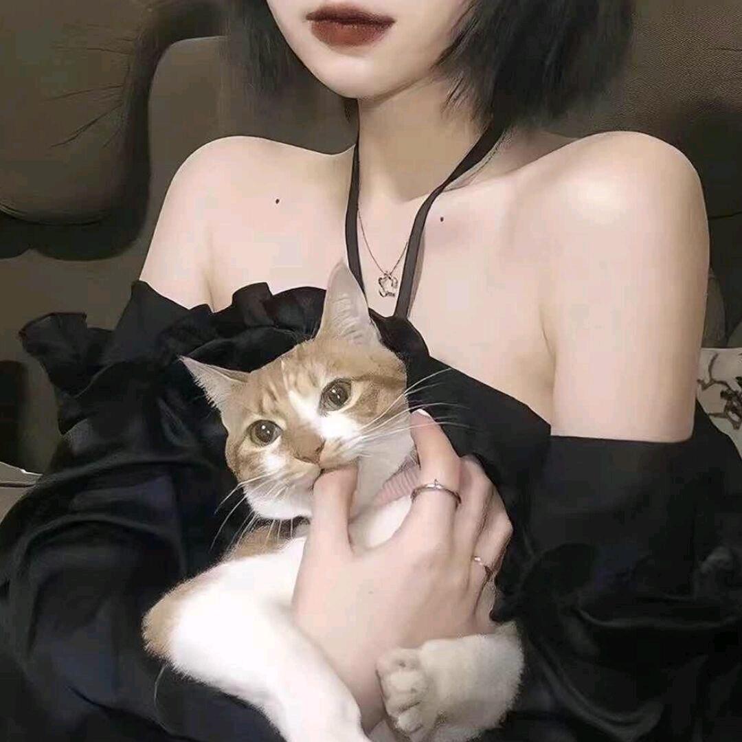向日葵🌻