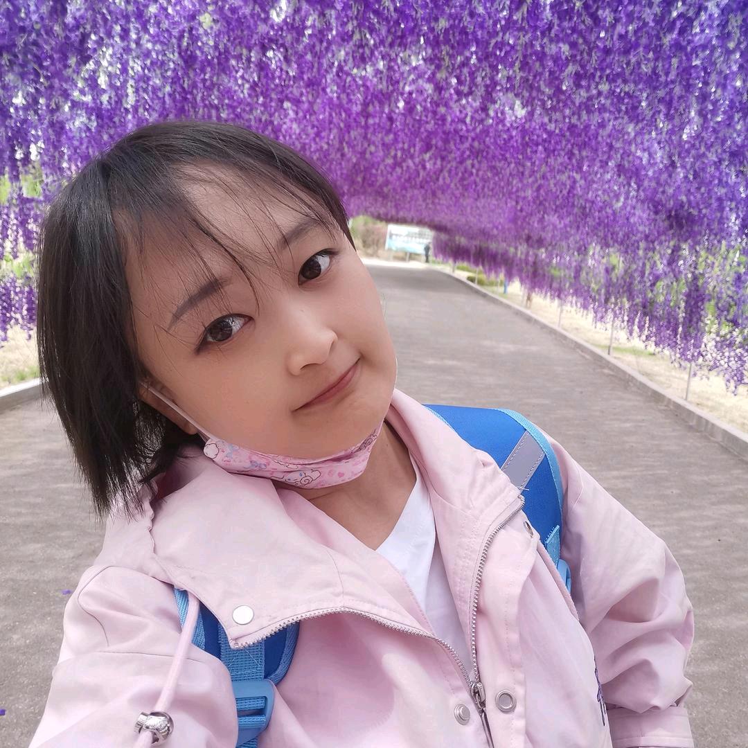 大同一日游-五姐(新青旅)