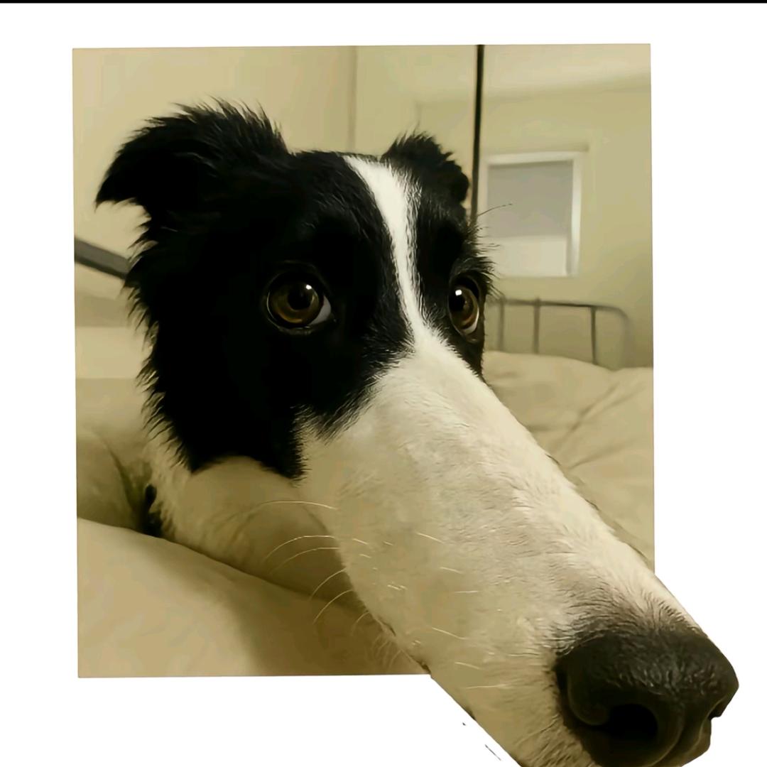 Xx.
