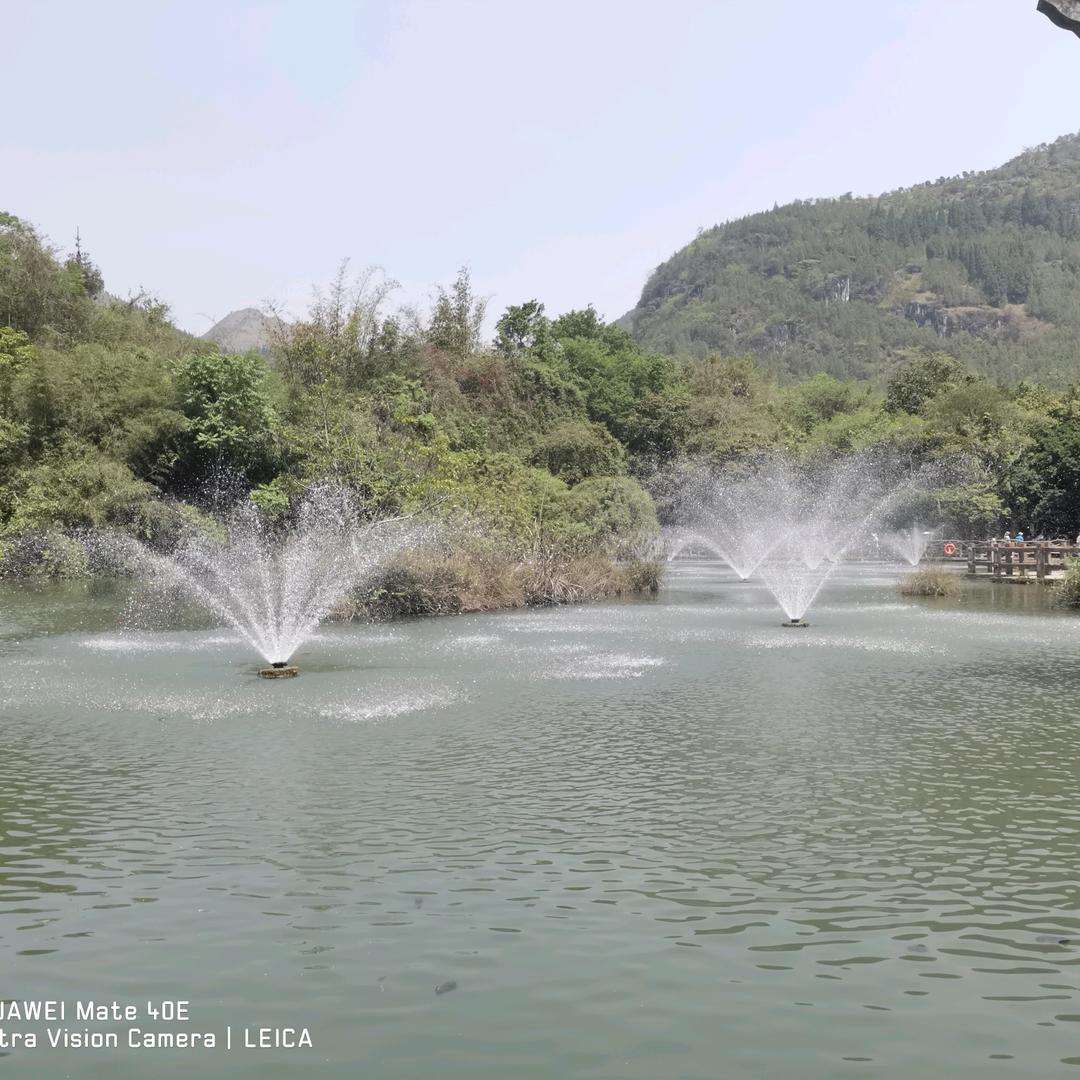 爱哭的毛毛虫💋💋