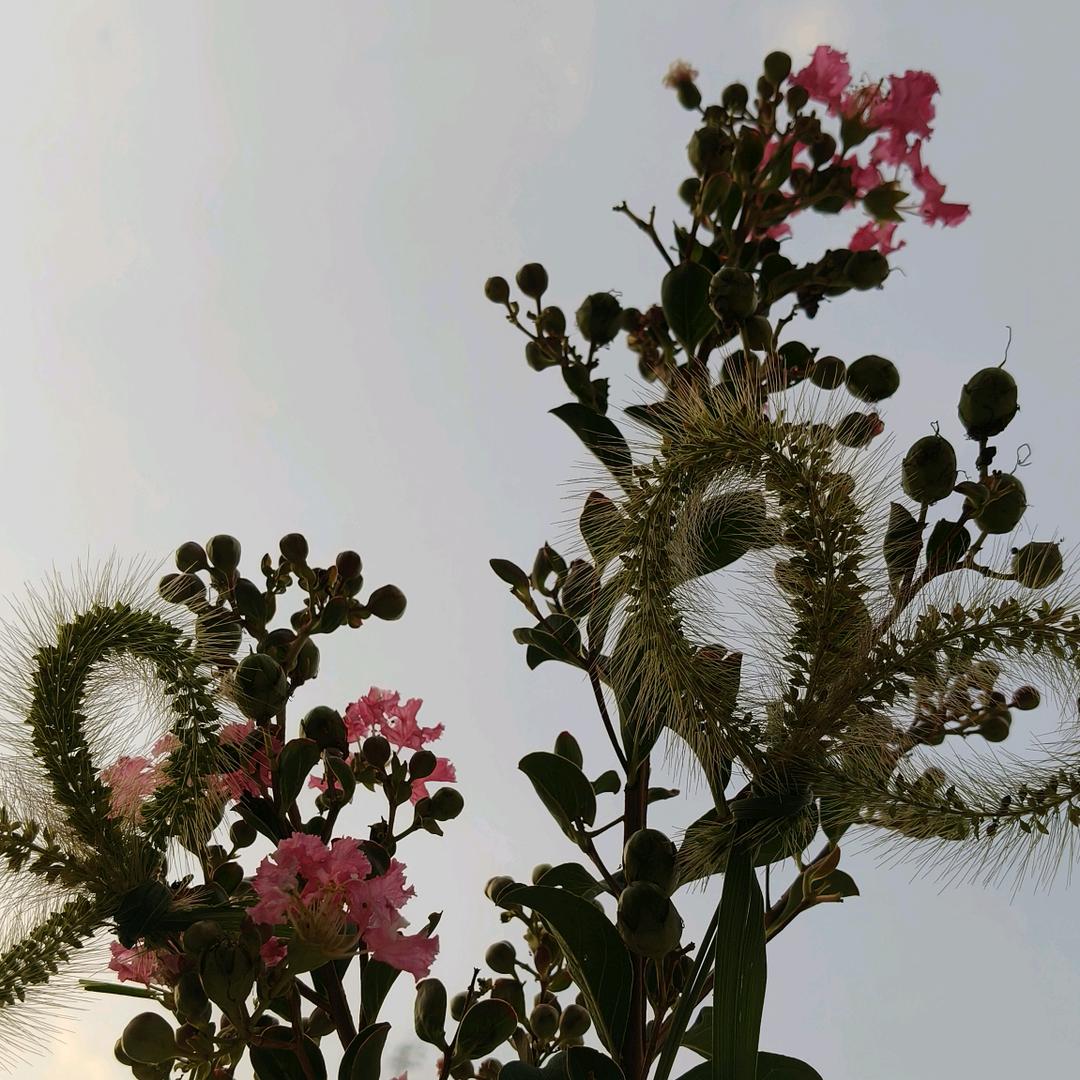 与世无争