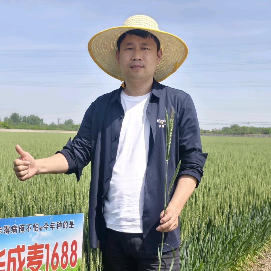 广厦农业（华林种业）寻找乡镇驻点人员