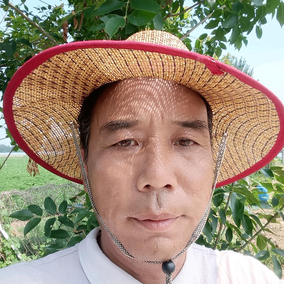 六哥