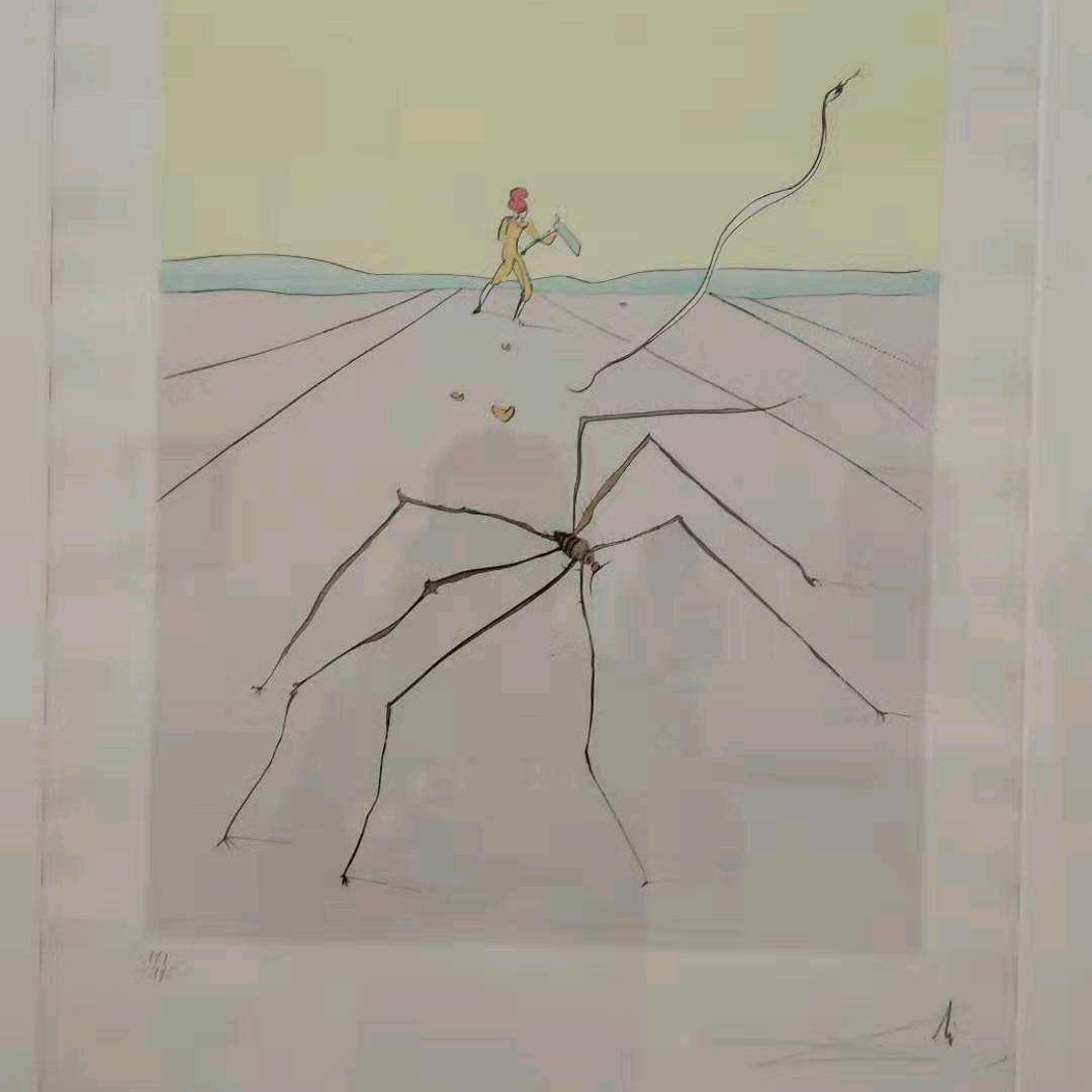 忧郁的风