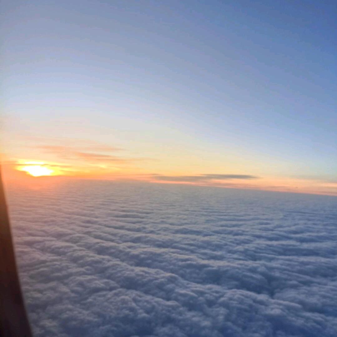 新苑仓买专用号