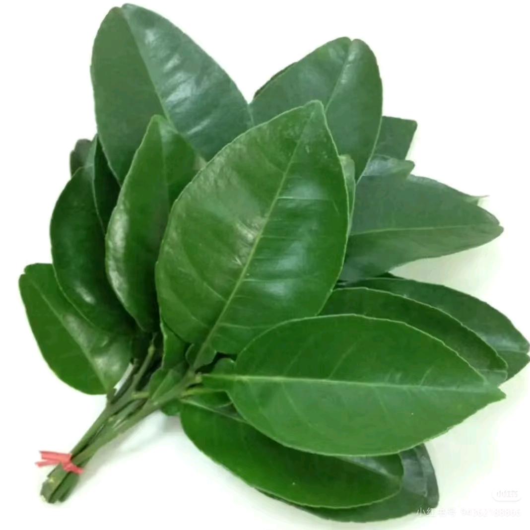 来财💷💷💶💎💰💴💵💳