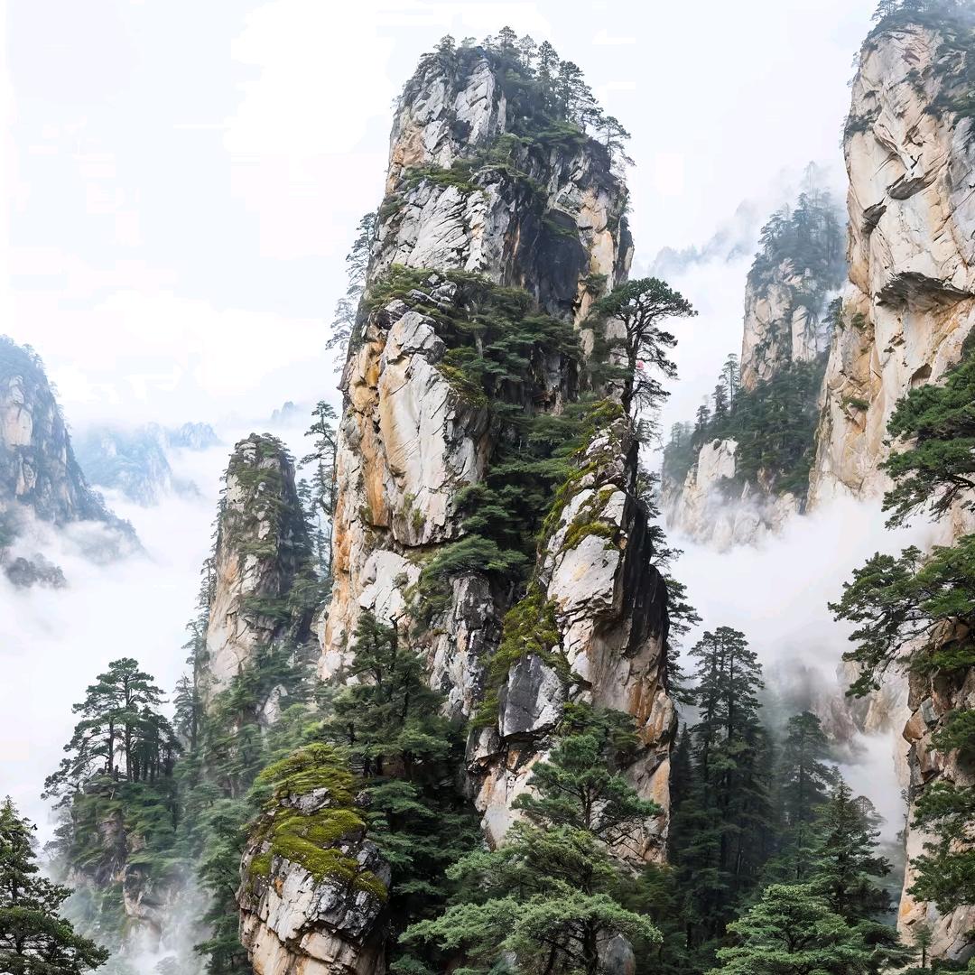 开心就好！！！！！！