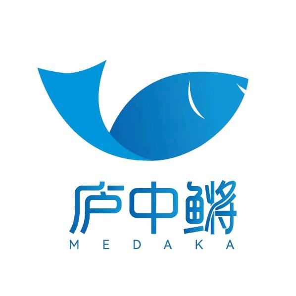 庐中鳉 观背青鳉小铺