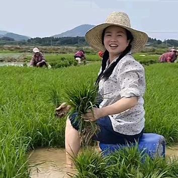 大叔和红艳的小超市