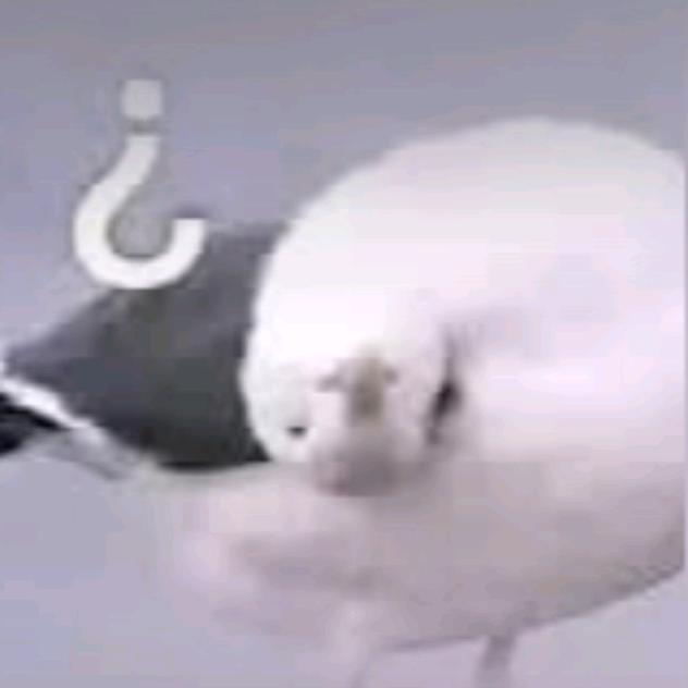 崆隘