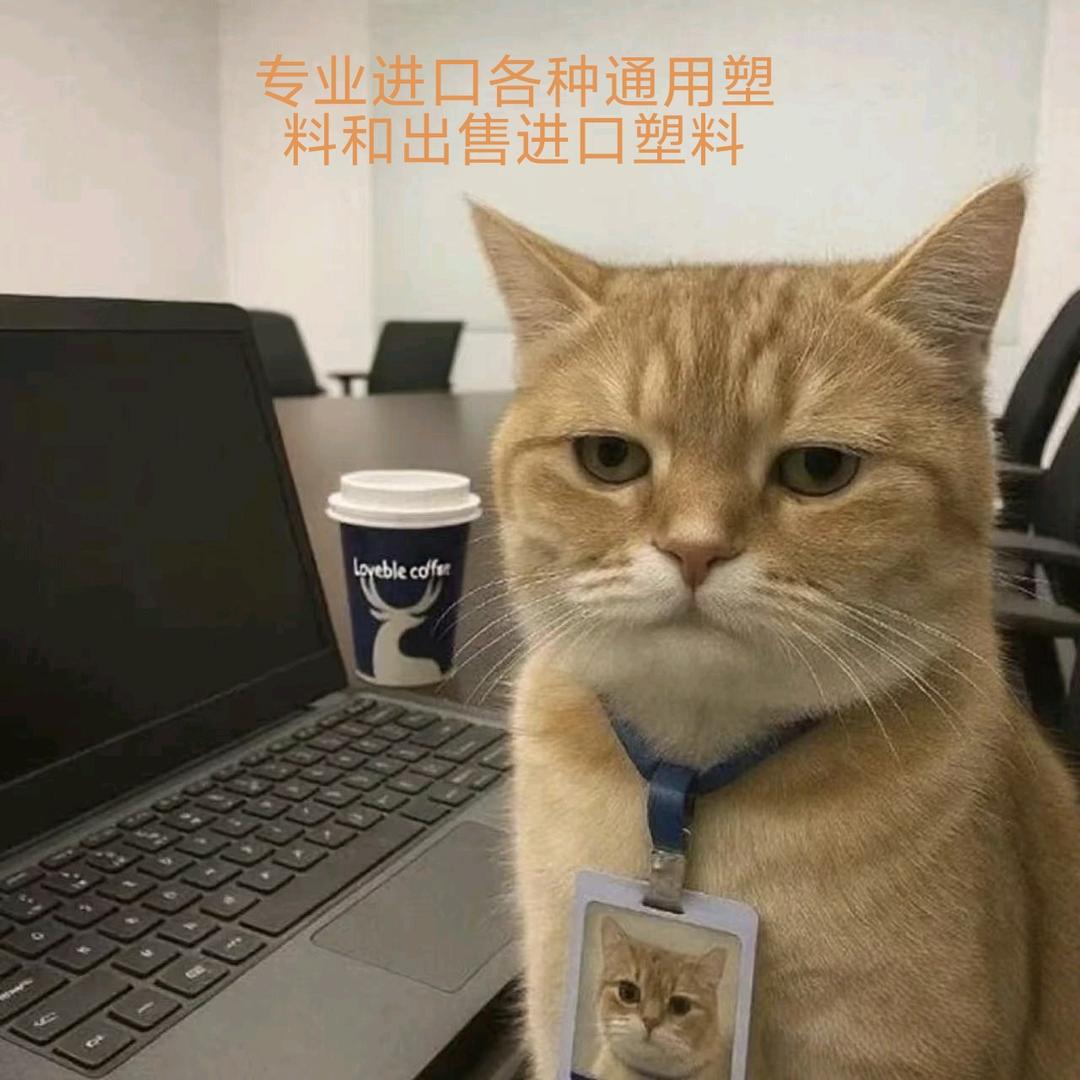 猫猫说塑料