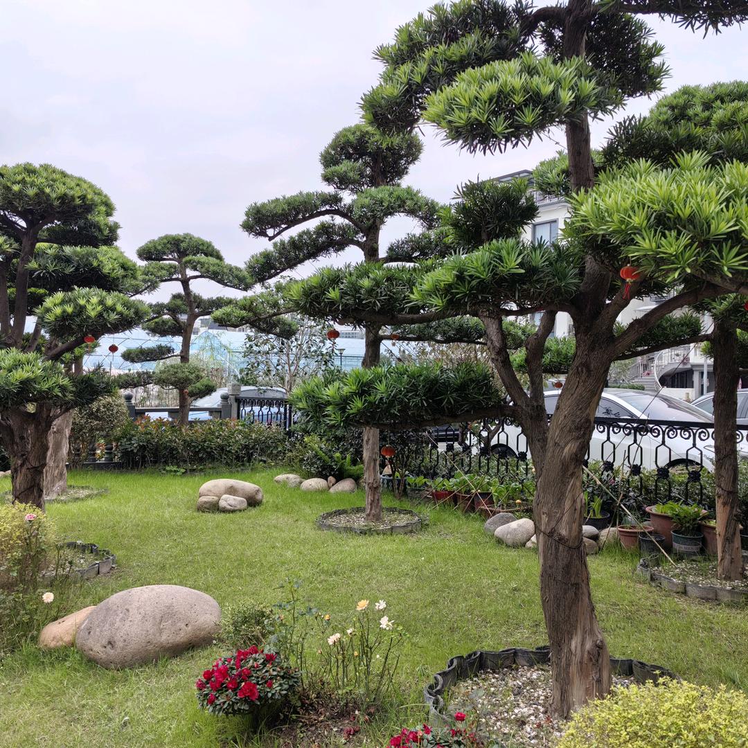 流年如歌，从❤开始。