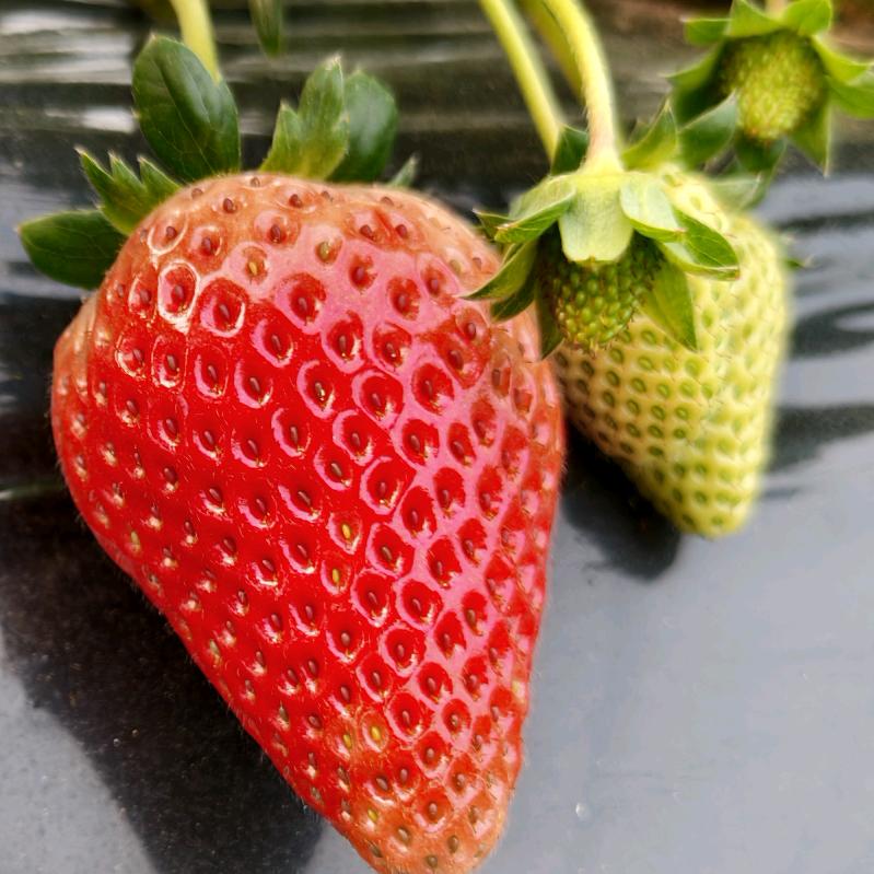 👉💰碎银😂᭄降万物👈