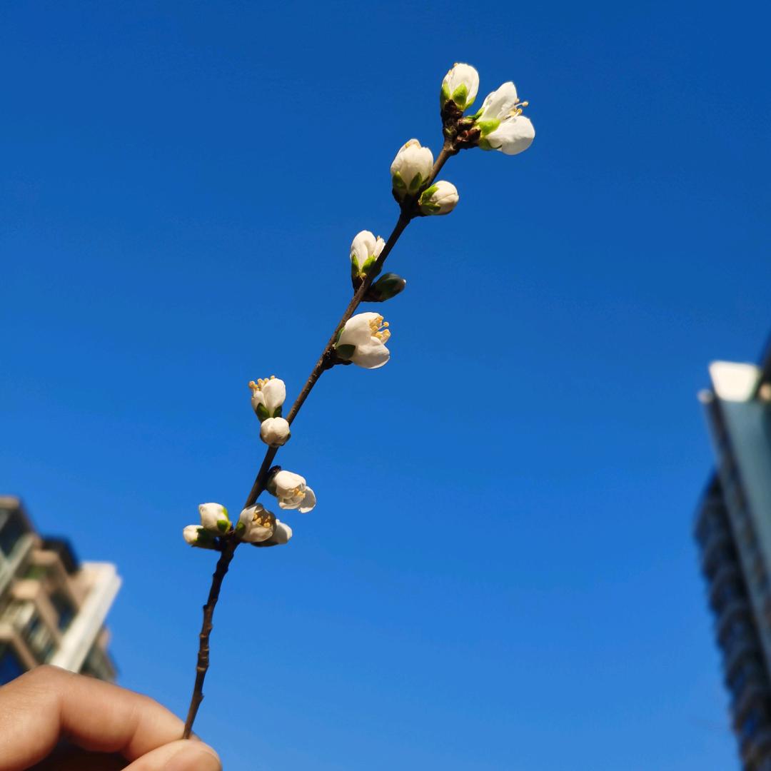 江自流