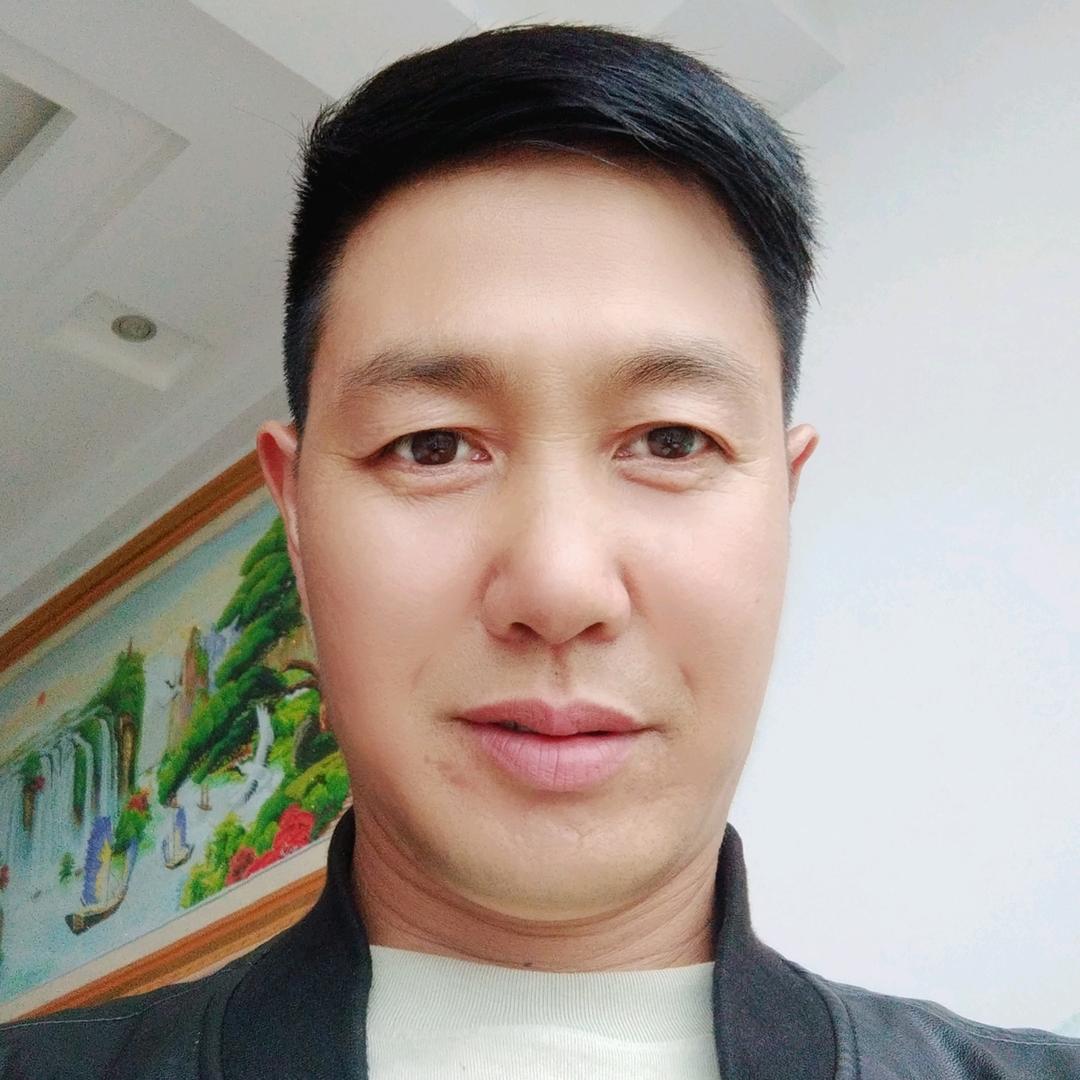 情缘歌