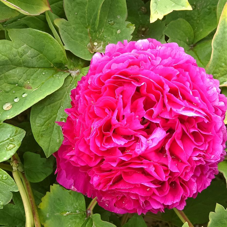 春花水月🌱🍁