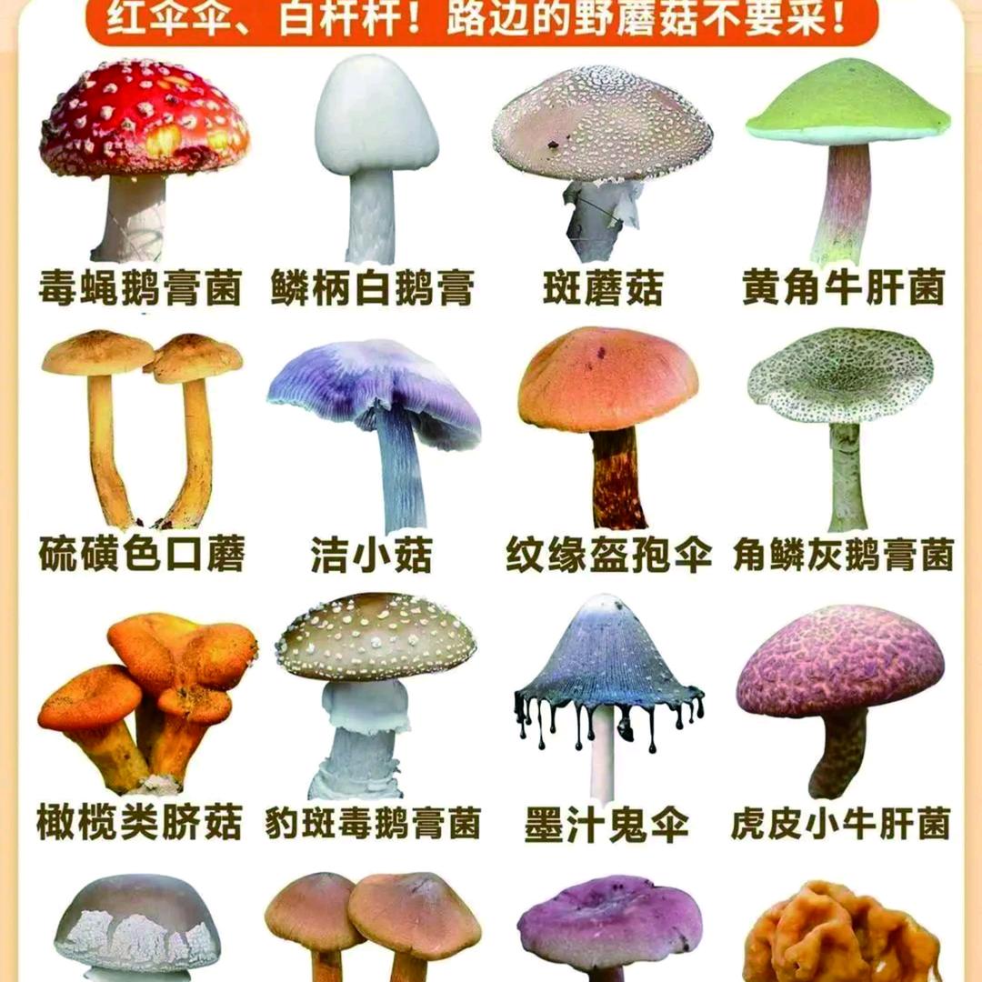 思而不得终是梦