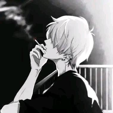 遇见星星的旅程