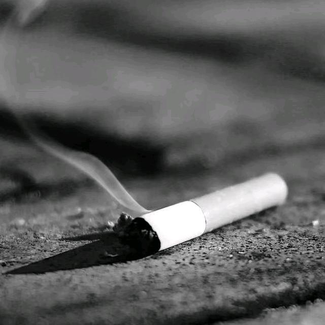 世间繁华不过弹指