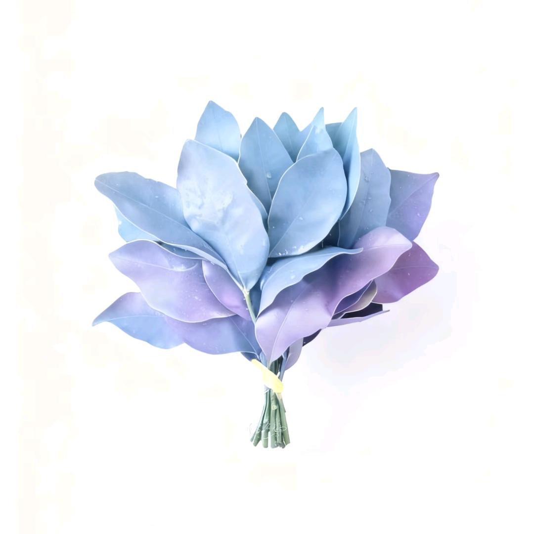 ˙·Jiaᴗa_ᥫᩣ·🔮