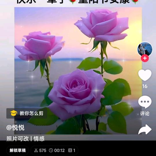 荣姐