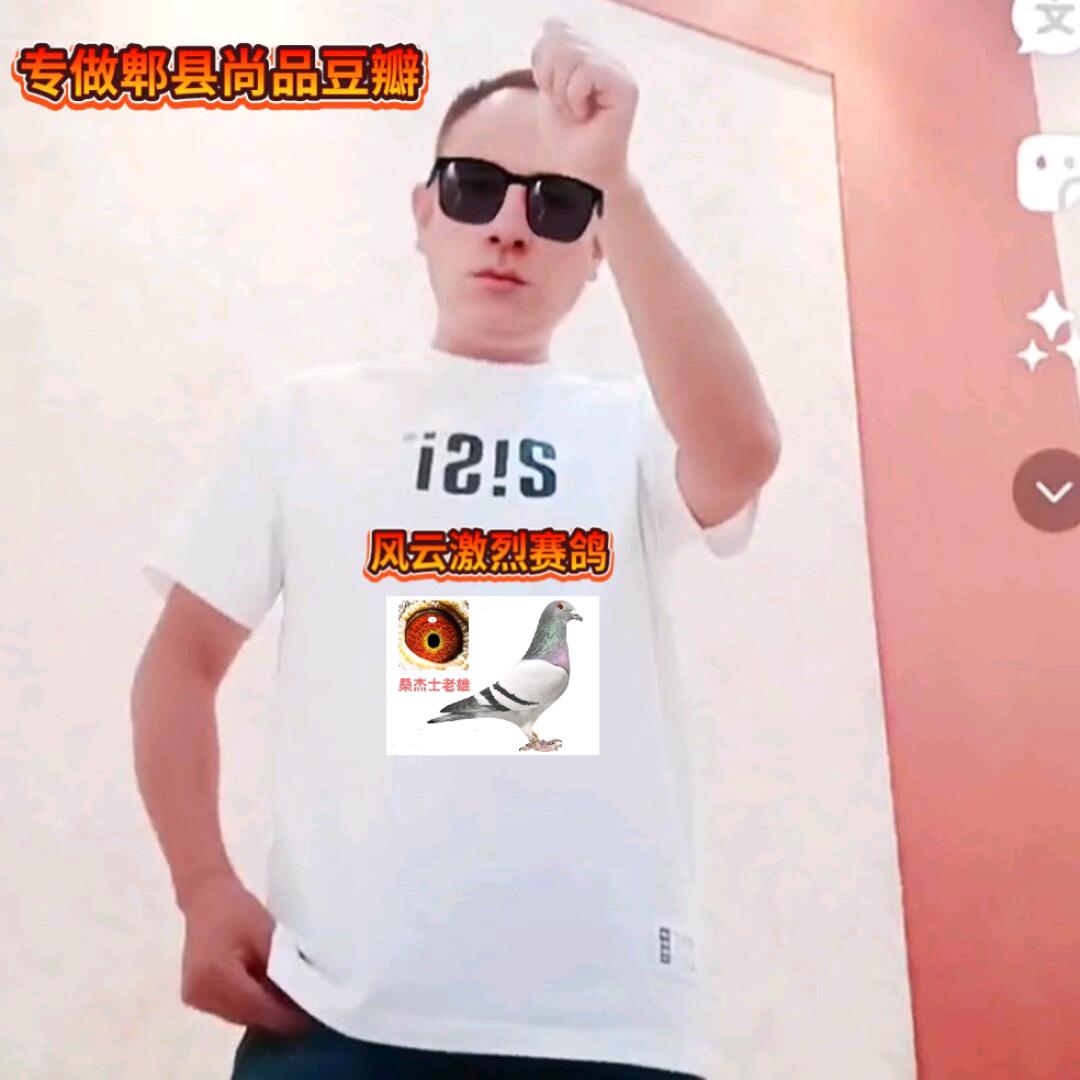 春哥《专做郫县尚品豆瓣》《风云激烈赛鸽》