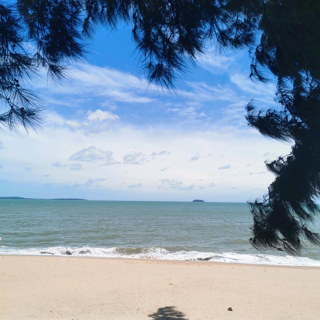 挣金的人（10万粉）