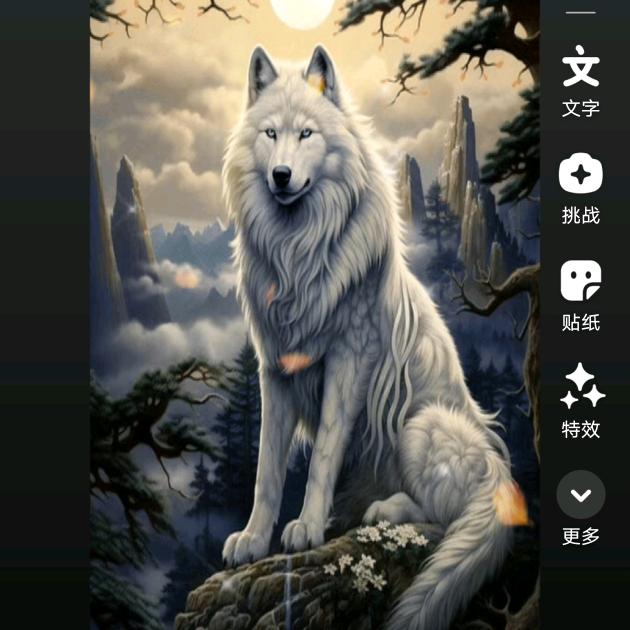 狼